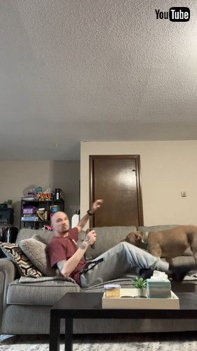 最高のテレビ鑑賞スタイルをくれる犬