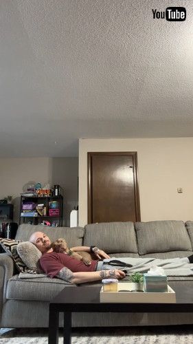 最高のテレビ鑑賞スタイルをくれる犬