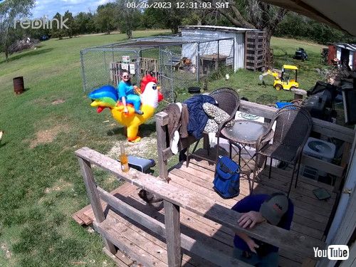 ニワトリスーツの妻