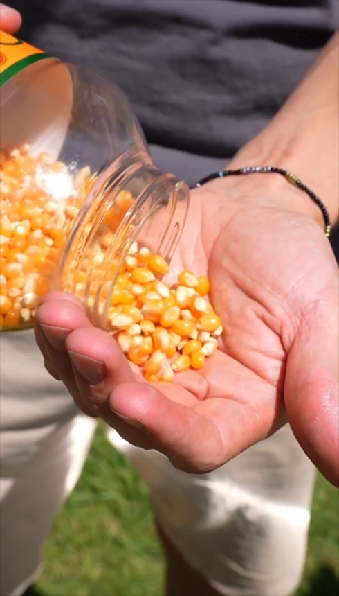 ソーラーレイ　太陽光　調理　ポップコーン