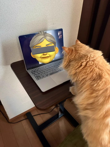 PC見てる猫後ろから