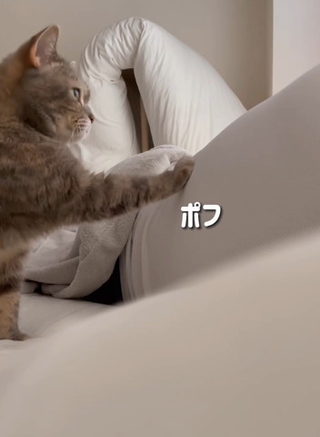 ポフテロップ