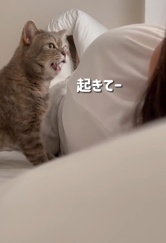 起きてテロップ