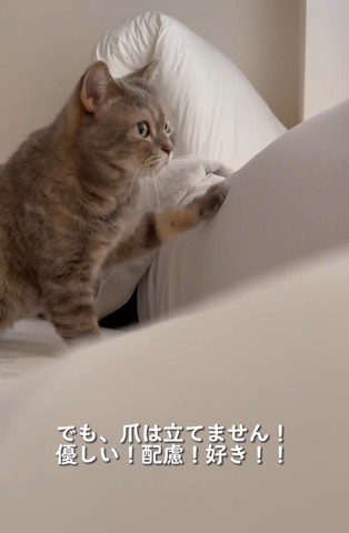 でも爪は立てませんテロップ