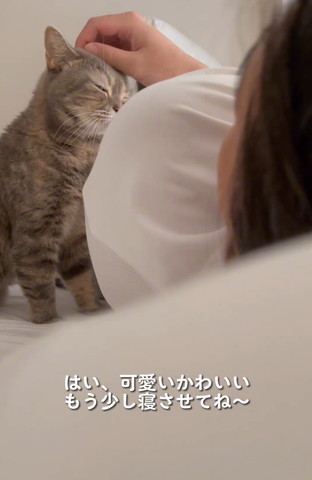 はいかわいいテロップ