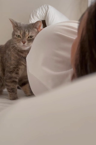 にっこりしてる猫ちゃん