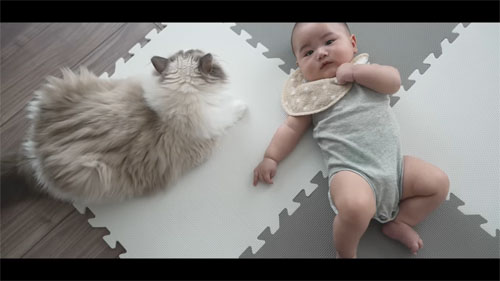 ムーさんのそばにいるアマンくん