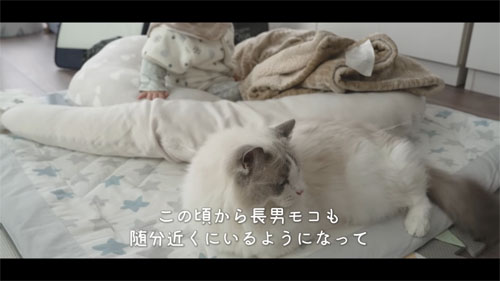 ムーさんに近づくモコくん