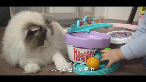 ムーさんと遊ぶアマンくん