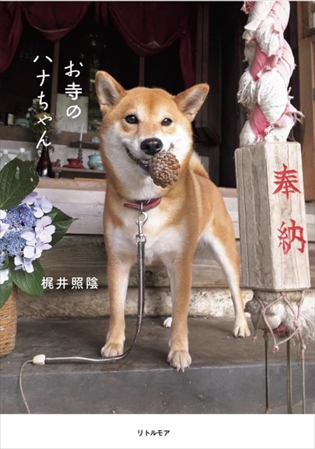 お寺のハナちゃん写真集