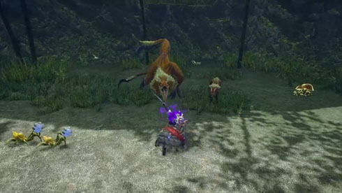 モンハンライズ