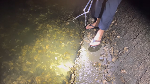 ドウマンガニを照らす