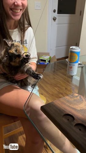 「Ring Toss Kitty Wins The Game || ViralHog」