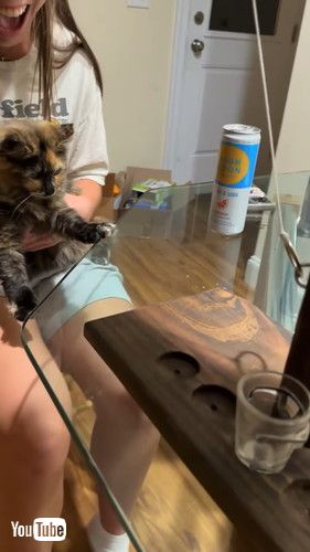 「Ring Toss Kitty Wins The Game || ViralHog」