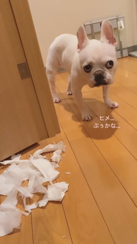 イタズラしちゃったヒメちゃん