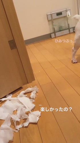 イタズラしちゃったヒメちゃん