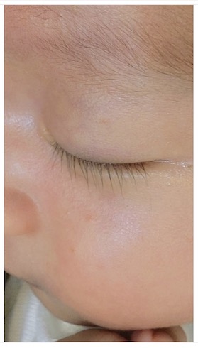 おばたのお兄さん