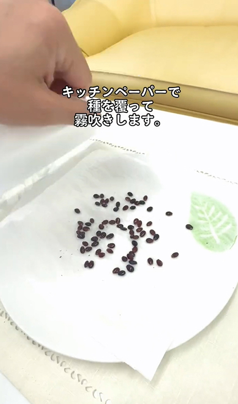 種の発芽環境を整えます