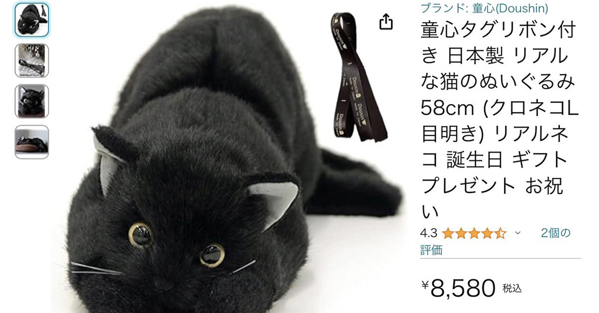 黒猫　ぬいぐるみ　童心 日本製リアルシリーズ 童心 ネコ Sサイズ ぬいぐるみ 猫 : HONDA
