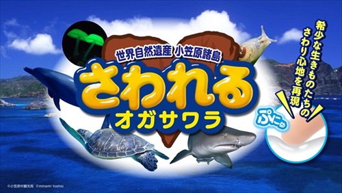 すみだ水族館オガサワラベース