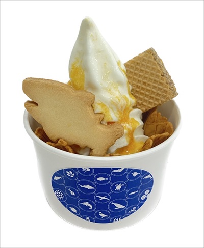 すみだ水族館オガサワラベース