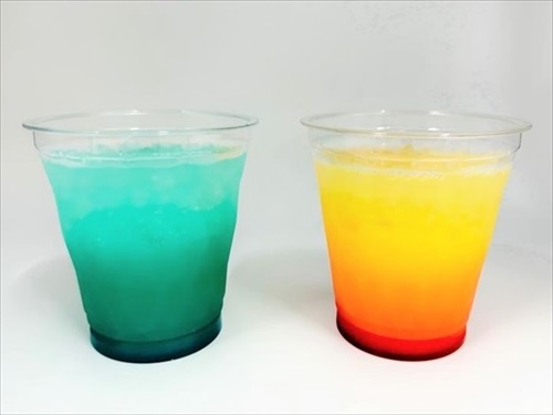 すみだ水族館オガサワラベース