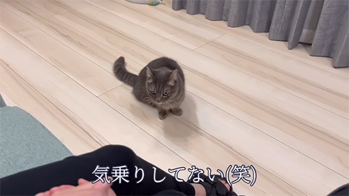 気乗りしてない