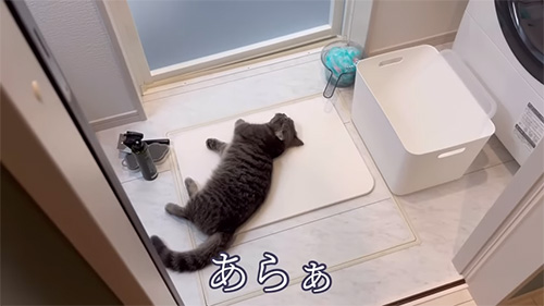 マットでごろん