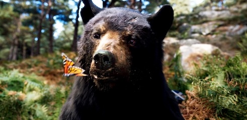 ハイなクマ大暴れ映画「コカイン・ベア」レビュー　まさかの実話の先に待ち受けていたのは優しさでした