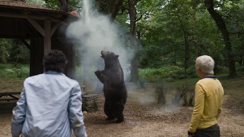 ハイなクマ大暴れ映画「コカイン・ベア」レビュー　まさかの実話の先に待ち受けていたのは優しさでした