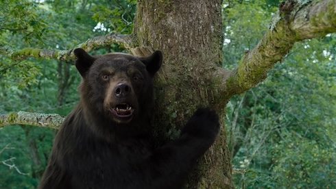 ハイなクマ大暴れ映画「コカイン・ベア」レビュー　まさかの実話の先に待ち受けていたのは優しさでした