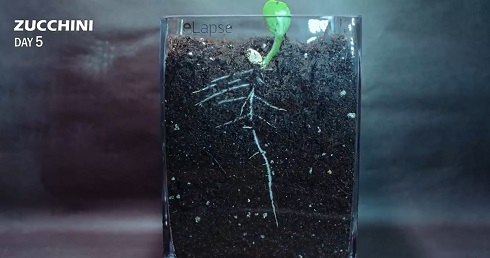 タイムラプス01