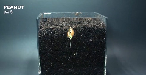 タイムラプス02