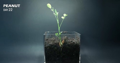 タイムラプス03