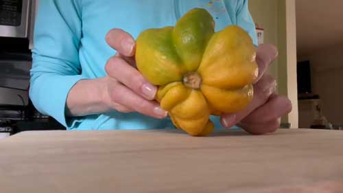 庭 レモン すごい形 奇形 変形 仏手柑