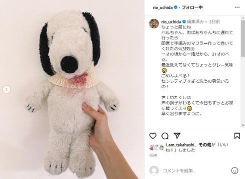 内田理央のぬいぐるみ
