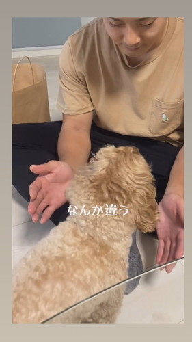 保安検査官チャイちゃん