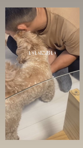 保安検査官チャイちゃん