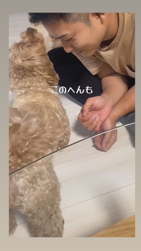 保安検査官チャイちゃん