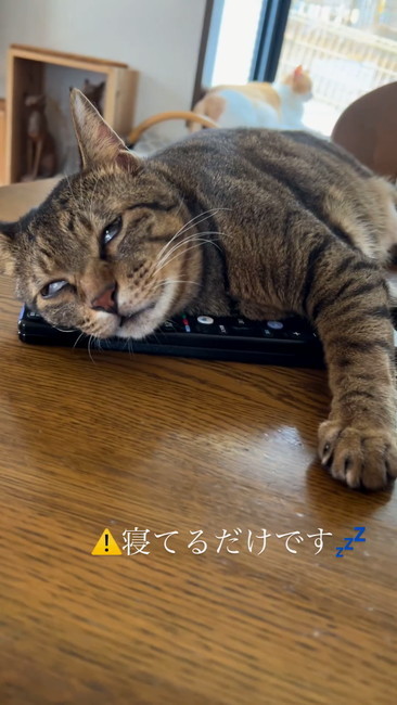 白目