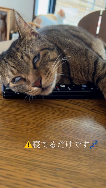 だんだん白目に