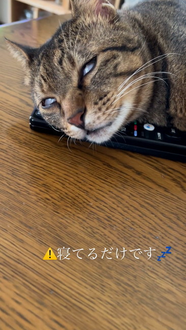 もうすぐ完全白目