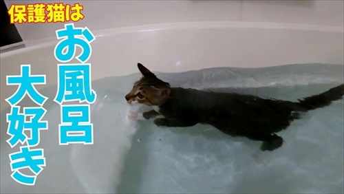 オススメ