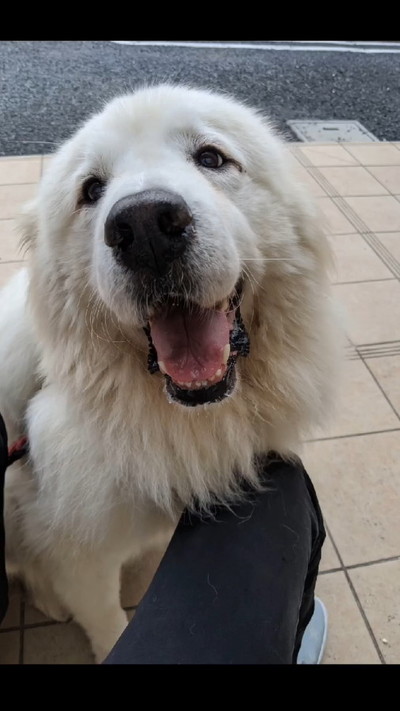 にっこりはなちゃん