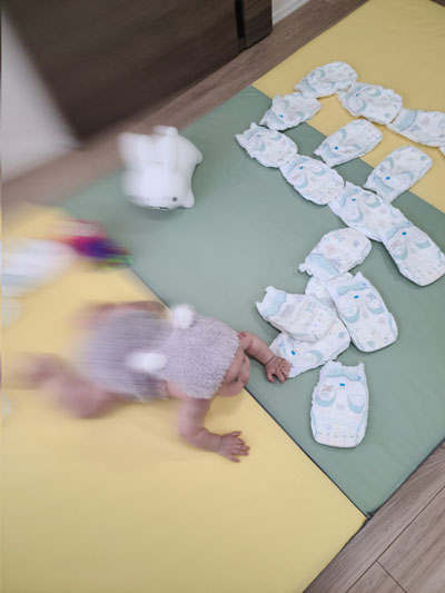 野生の赤ちゃん