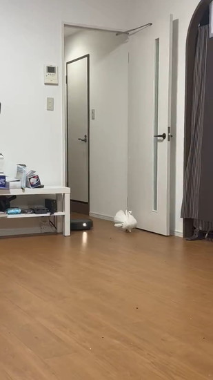 前回らむちゃん