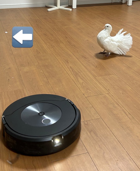 ハトの羽を見逃すルンバ