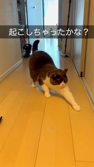 起こしちゃったかな