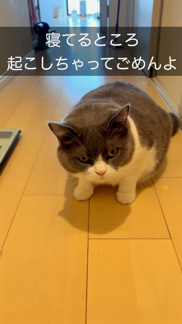 起こしちゃってごめん