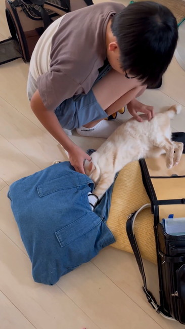 手伝ってるの？